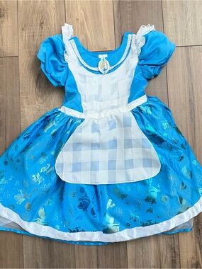Disney Store Alice in Wonderland blue Costume Dress